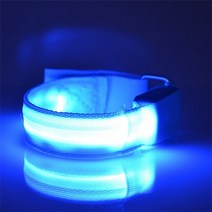 2개/대 LED 밤 말 다리 안전 벨트 스트랩 정장 빛나는 튜브 승마 용품, 04 2pcs Blue