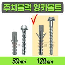 주차블럭 앙카볼트 회색 1조 세트 80mm 120mm 앙카 볼트 스크류 콘크리트 피스 차선규제봉 과속방지턱 차량, 주차블럭 앙카볼트 회색 1조 120mm, 1개
