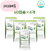 비엔나17효능 60캡슐 4개월 비애날씬 bmr17 BNR17다이어트유산균 비엔알 비엔날씬, 60개