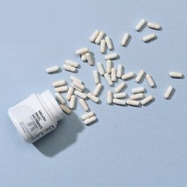 강아지 기관지 영양제 기침 감기 호흡기 애견 닥터리, 기관지 호흡기 건강