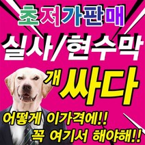 감사기프트 현수막 실사출력 자석 실사 배너 거치대 어깨띠 간판