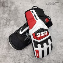 루디스 21/22 National Team 알파인 스노보드 레이싱용 가죽 벙어리 장갑 LGM4032 (정가대비 20%OFF+15%쿠폰), BK