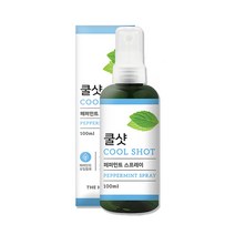 더허브샵 쿨샷 페퍼민트스프레이100ml, 100ml, 1개
