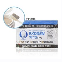 엑소덴 분말 가루치약 리필용 10g 미백 천연 치약 구취 치석 입냄새 제거, 엑소덴 분말 리필용 10g