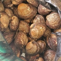 남해안 피꼬막 피조개 10kg, 1개