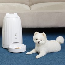 페키움 강아지 고양이 자동 자율 급식 배식 분리불안해소 급식기, 1.자동급식기(단품)