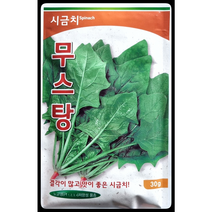 열정시금치 30g/엽색이 진하고 노균병에 강한 시금치 씨앗
