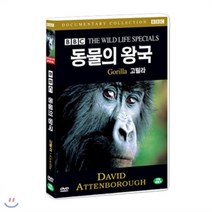 [DVD] BBC 동물의왕국 - 고릴라(Gorilla - BBC THE WILDLIFE SPECIAL)
