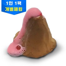 이노스팀연구소 재미있는 과학실험 화산폭발모형 만들기