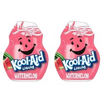 쿨에이드 홈카페 Kool-Aid Sugar-Free Watermelon 48ml 2팩