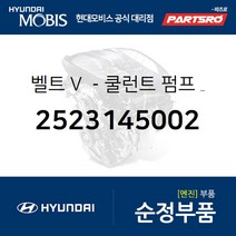 벨트 V-쿨런트 펌프 & 제너레이터 (2523145002) 카운티 마이티2 E마이티/마이티