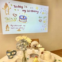 생일 축하 문구 미니빔 파티 배경 꾸미기 현수막 홀로그램 인스타 포토존 만들기 파티용 홈파티 용품 촬영 소품 제작 데코 조명 파티커튼, 사각 여아 생일 프로젝터 (배터리)