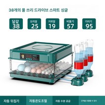 Ciliver 인큐베이터 전자동 스마트 병아리 모종 오리 거위 인큐베이터 소형 가정용 인큐베이터 비둘기 앵무새 인큐베이터, 1개, 심플 2종 나사 38매 그린 싱글 전기
