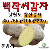 [강원도 정품 왕산종묘] 두백 씨감자 찐감자 쪄먹는 감자 분감자 두백 왕산 감자씨 햇감자, 3kg