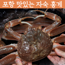 [자숙홍게] 감동농수산물 후포홍게 홍개 강원도 포항연지 홍게 주문진홍게 자숙홍게 후포항 연지 홍게 파지 활홍게 포항 홍게 영덕홍게 라면 육수용 홍게 당일배송 택배, 자숙 고급형 혼합홍게 (소/중)15마리