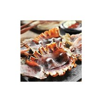 영덕 반건조오징어(중)10미 900-1000g, 단일옵션