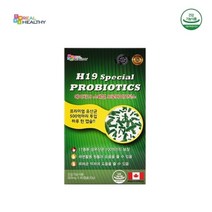 기타 프로바이오틱스 H19 캐나다 500억 유산균 60캡슐 x 1박스 (2개월분)