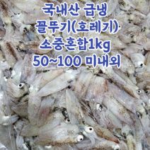 산지직송 서해안 급냉 꼴뚜기 호래기 횟감용 500g 1kg, 급냉꼴뚜기_소사이즈_1kg, 1개