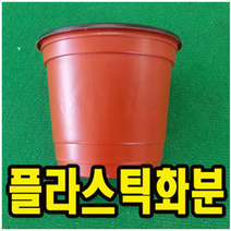 모종포트 식물화분 플라스틱미니컵 170mm 1개 WS005