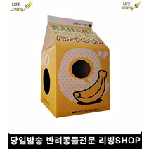코랫 아기고양이키우기 고양이용품샵 고양이키울때 고양이스크래치