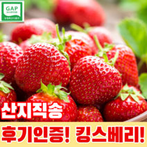 산지직송 킹스베리 비타베리 설향딸기 금실딸기, 킹스베리 - 특특 35~40g(2팩)