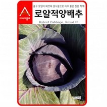 (양배추씨앗종자) 적양배추 로얄(100립) 전문농가용, 선택완료