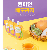 원하던 배도라지 주스 어린이 쥬스 아기 나주 배 도라지 기관지 건강 즙 100ml 20포, 20개
