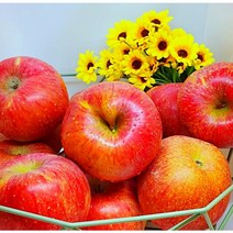 사과부사사과 가격비교 구매가이드