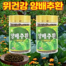 우리가족건강 남녀노소 맛있고 간편한 국내산 양배추환 위 위점막 보호제 120g, 2개, 300g