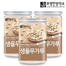 부영한방약초 생율무가루 300g 국내산, 3개