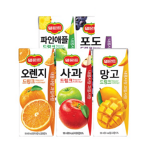 롯데칠성 델몬트 드링크팩 190ml 48팩 오렌지 포도 사과 망고 파인애플 과즙 어린이 음료 주스 쥬스, 델몬트 드링크팩 190ml 48팩 (포도)