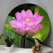 꾸밈 ie084-원형아크릴액자복이들어오는연꽃액자, 이미지2