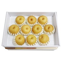 배 선물세트7.5kg내외(10과내외), 10개, 7.5kg(10과내외)