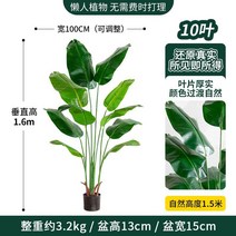 인조 바나나나무 인조목 모조 야자 관엽 휴양지 식물, 트래블러스 바나나 160cm