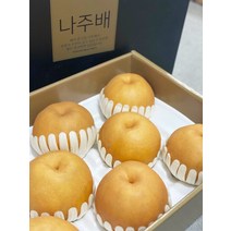 햇배 나주배 가정용 추석 선물세트 황금배 화산배 추황배 신고배 7.5kg, 나주 햇배 특품 7.5kg (7-10과)