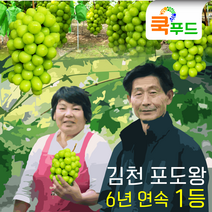 [산지직송] 김천 샤인머스켓(포도왕 수상) 2kg 4Kg 고당도 프리미엄, 특등급 2Kg(2~3송이)