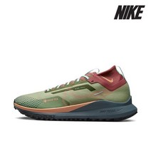 [국내매장판] 나이키 페가수스 트레일 4 GORE-TEX DJ7926-300