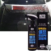 다용도 셀프 유리막 코팅제 250ml 차량관리 자동차관리 사은품증정