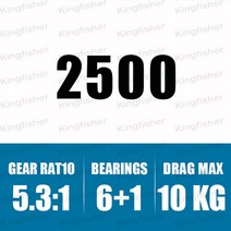 2021 new daiwa fuego lt cs 2500 3000 4000 5000 6000 5.3:1 abs 스풀 낮은 기어비 바닷물 낚시 스피닝 릴