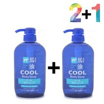 쿨 바디워시 가드름 클렌징 미끌거림없는 클렌징 폼 jpak822*0259359gV, 쿨바디워시(파랑) 2개_데오워터 1개, 본상품선택