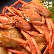 [산지명인] 구룡포 연지홍게 3kg 8-12미, [일반실속형] 5kg (15-20미)