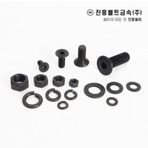 특강 접시머리 볼트 사라볼트 (6mm ~ 60mm) M3 M4 M5 M6 M8 M10, 60mm