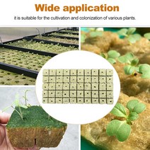 조립식온실 베란다비닐하우스 농자재 50/100Pcs 모종 시트 블록 번식 복제 씨앗 토양없는 재배 수경 큐브, 02 25x25x25mm-100pcs