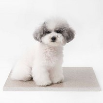 [시즌오프] 대리석아빠 대리석 쿨매트 중형 단품 (랜덤발송)