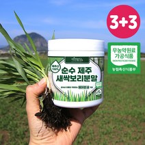 순수 제주 새싹보리 분말 에어분쇄 저온건조 보리어린잎 자연밭담, 170g, 6개