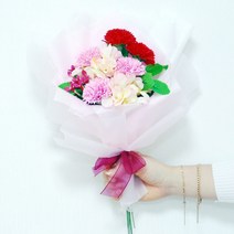 핑크 비누카네이션 꽃다발
