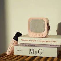 인싸템 머레이 러블리 블루투스 미니 스피커 노래방 가정용 여행용 소모임 행사용, 핑크