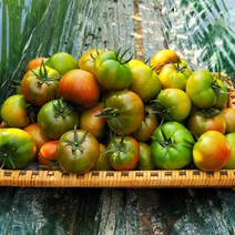 대저 짭짤이 토마토 짭잘이 2.5kg 1kg 소과 중과 대과 로얄과, 대저토마토 쥬스용 랜덤과 2.5kg