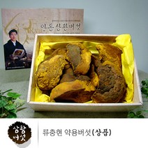 상황버섯 약용버섯 목질진흙버섯 원물 상황버섯 상품 차 물 무농약 친환경인증 먹는방법 효능 추천 경북 안동, 1박스, 500g