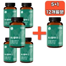 관절 보스웰리아 1000mg 60정 12개월분, 6개
